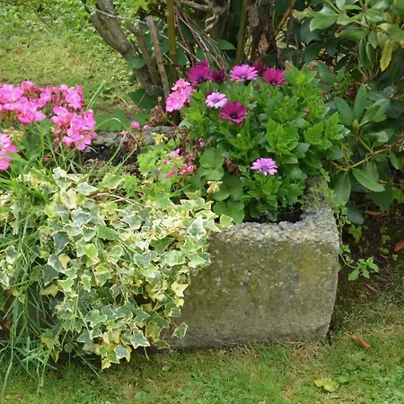 La Ferme Remue * Rixensart